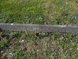 image of grave number 340398